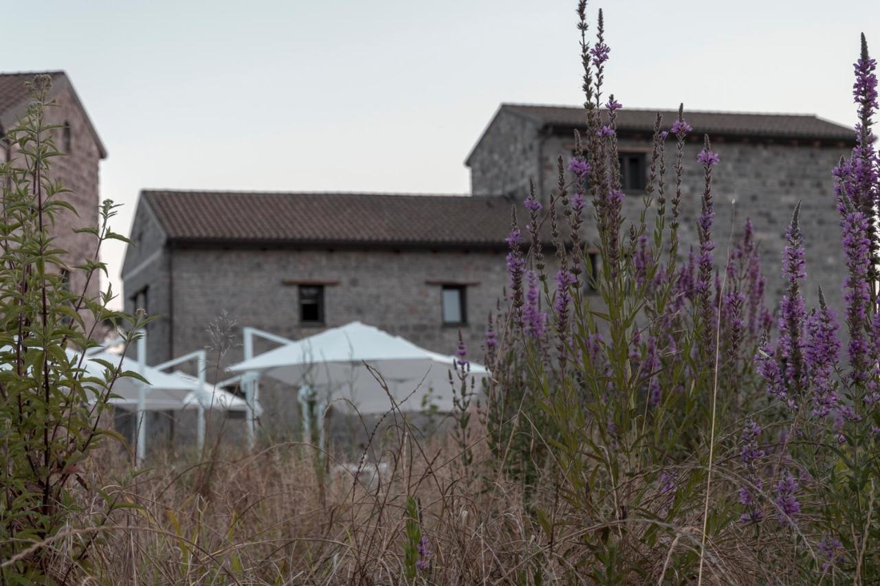 I Cacciagalli Wine Resort Teano 外观 照片