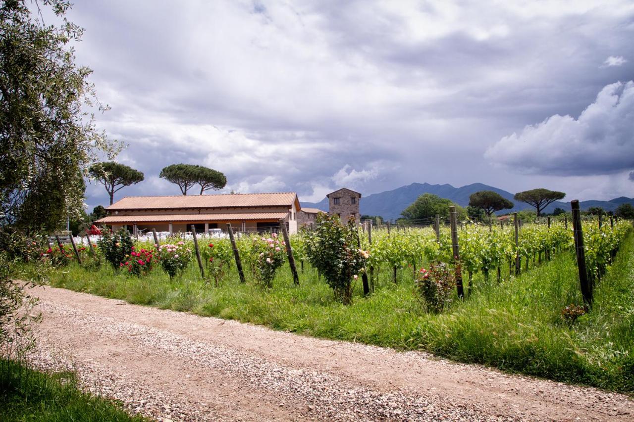 I Cacciagalli Wine Resort Teano 外观 照片